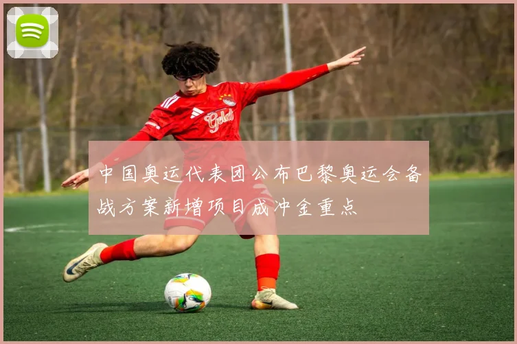 中国奥运代表团公布巴黎奥运会备战方案新增项目成冲金重点