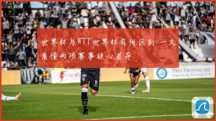 世界杯与WTT世界杯有何区别 一文看懂两项赛事核心差异