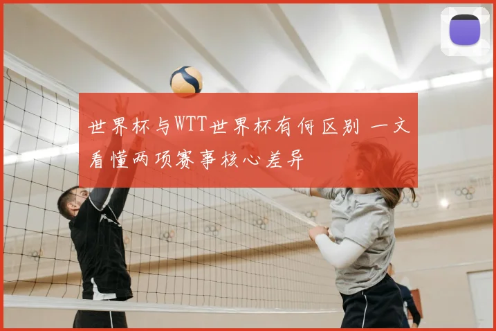 世界杯与WTT世界杯有何区别 一文看懂两项赛事核心差异