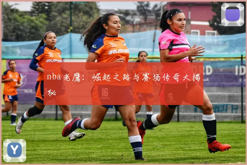 nba老鹰：崛起之路与赛场传奇大揭秘