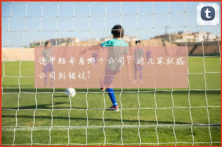 德甲赔率看哪个公司？这几家权威公司别错过！